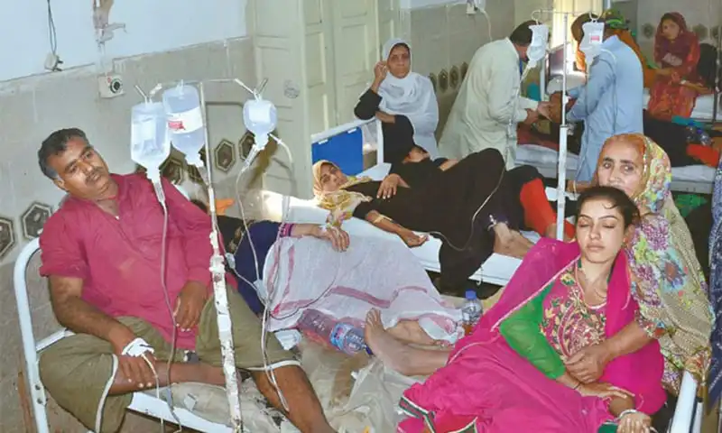 13 family members fall sick after eating tainted food