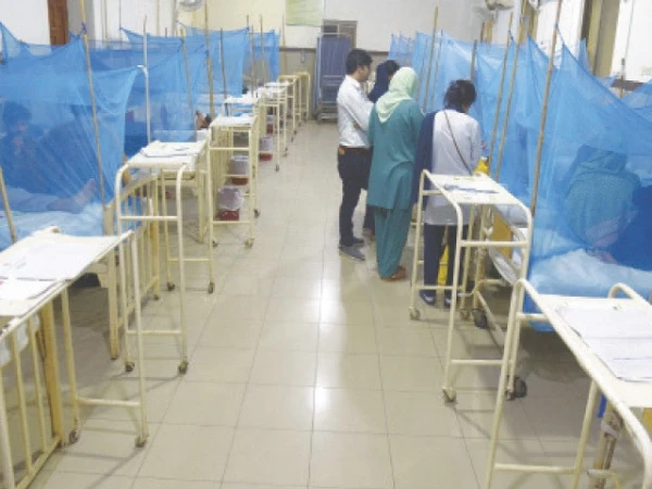 85 dengue cases reported in Rawalpindi