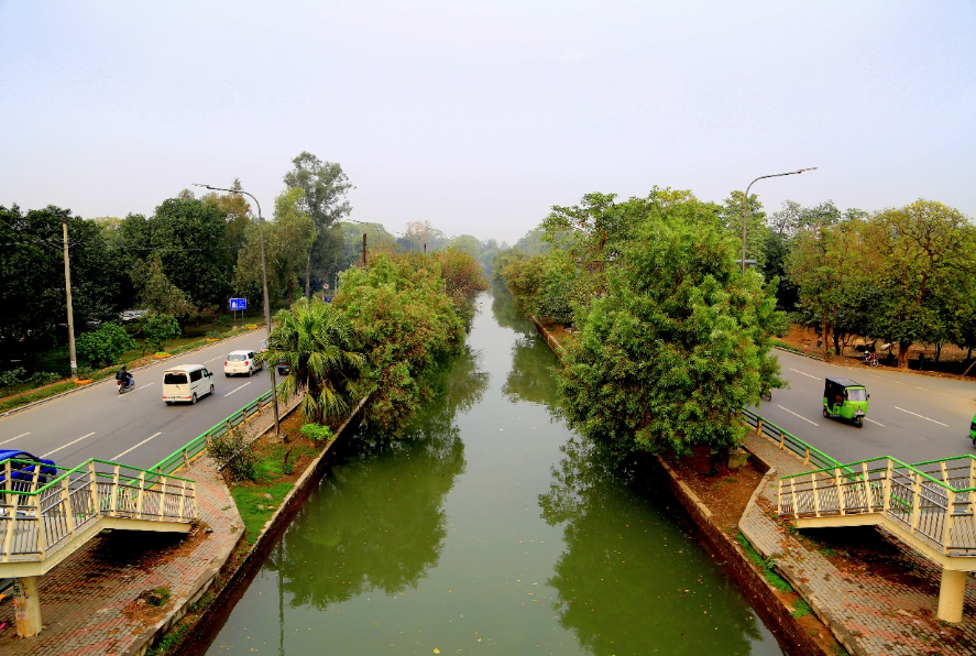Canal Road Lahore Yellow Line trees smog