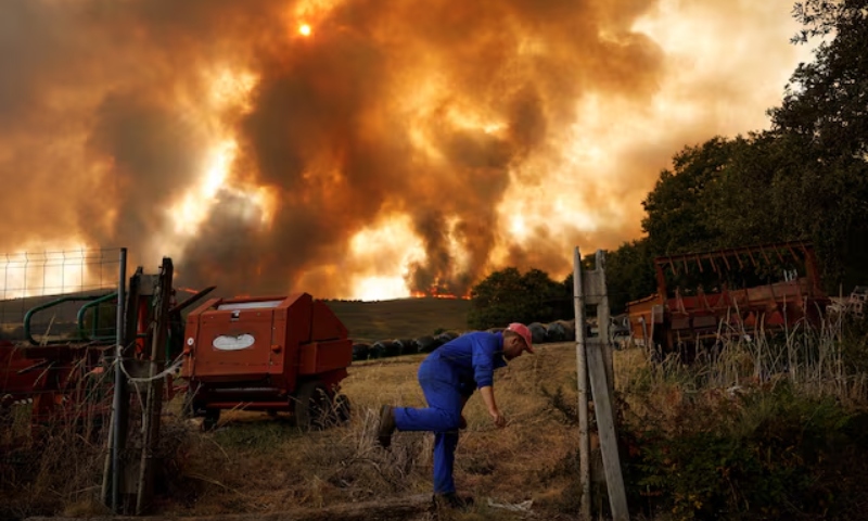 EU wildfires burnt 2.5m acres in 2025, an area larger than Cyprus