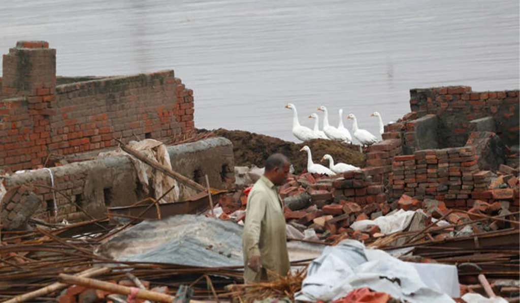 Exceptionally high flood in Chenab threatens Jhang, Multan