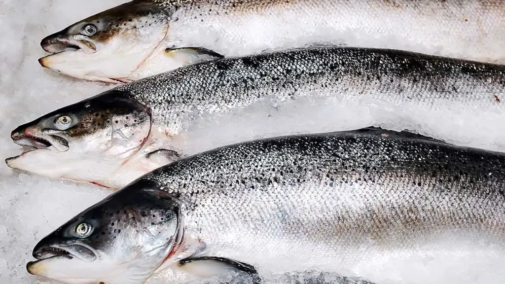 Pakistan seafood exports