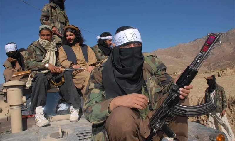 Who has given refuge to terrorists in KP, Kundi asks