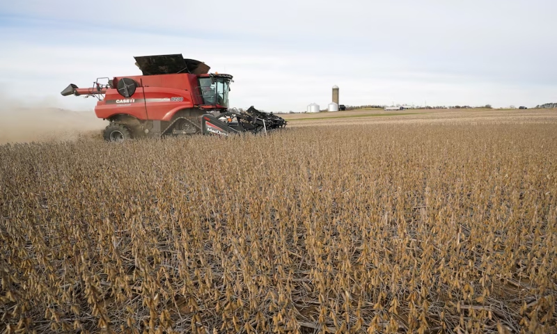 US protectionism threatens agricultural ties: China