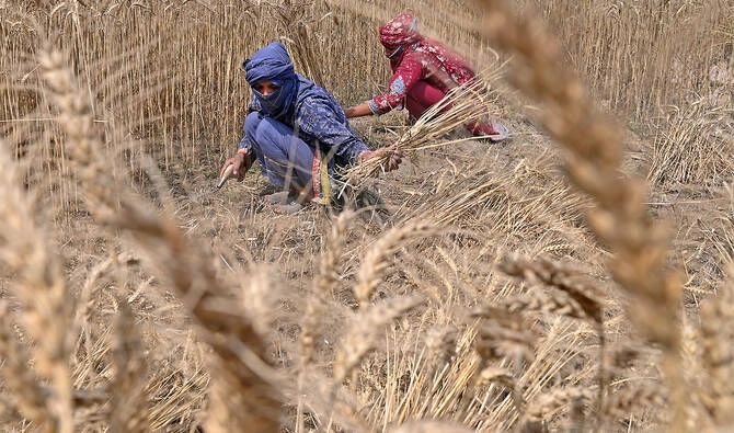 The government set a goal to develop the Pakistan's agricultural sector into a $3 trillion economy, the Federal Minister said on Wednesday.