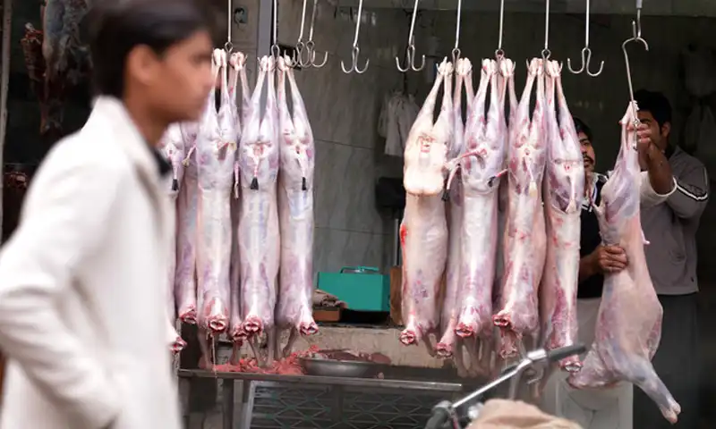Pakistani meat direct export