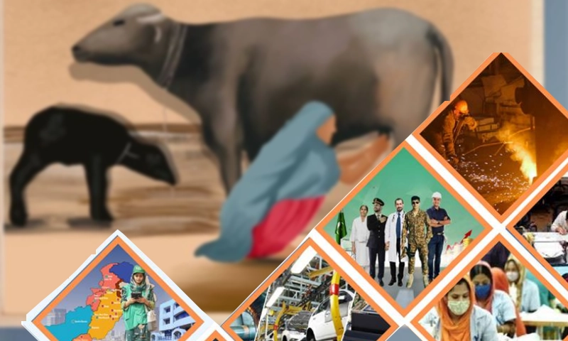 Above 10m households drive economy, reveals economic census