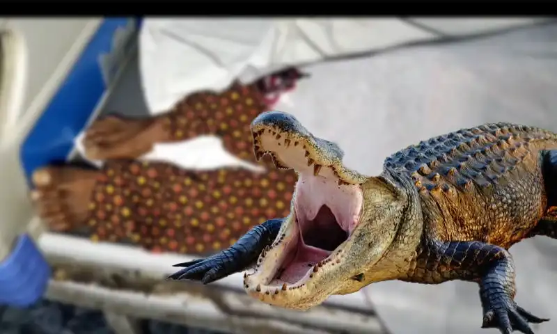 Man saves wife from crocodile after it drags her into Sukkur canal