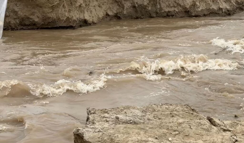 Sutlej River flood breaches two embankments