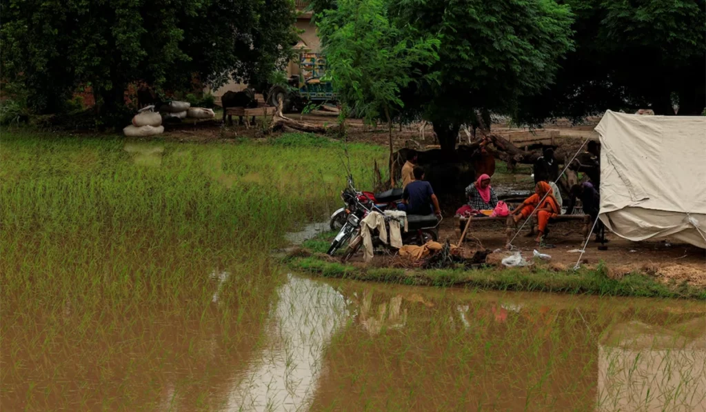 Punjab witnesses exceptionally high flood as many already displaced