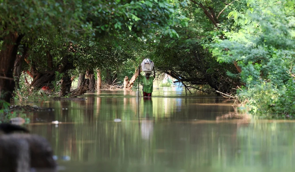 Extremely high flood in Chenab and Sutlej