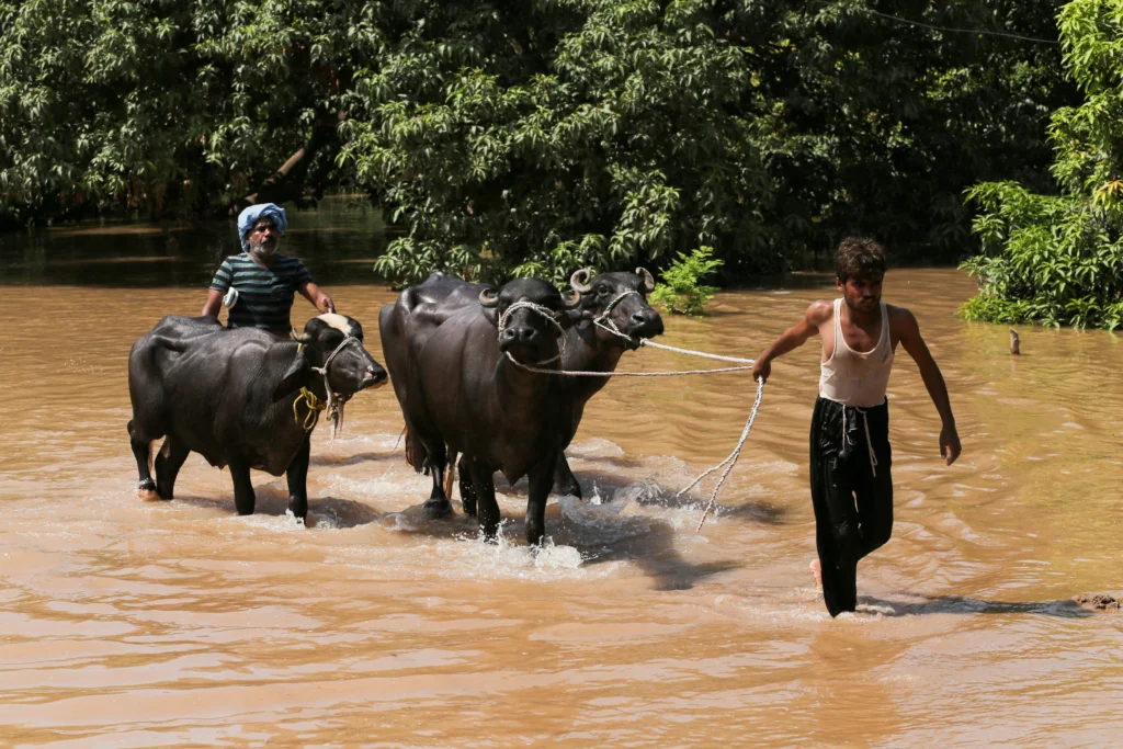Punjab floods 5.9.25