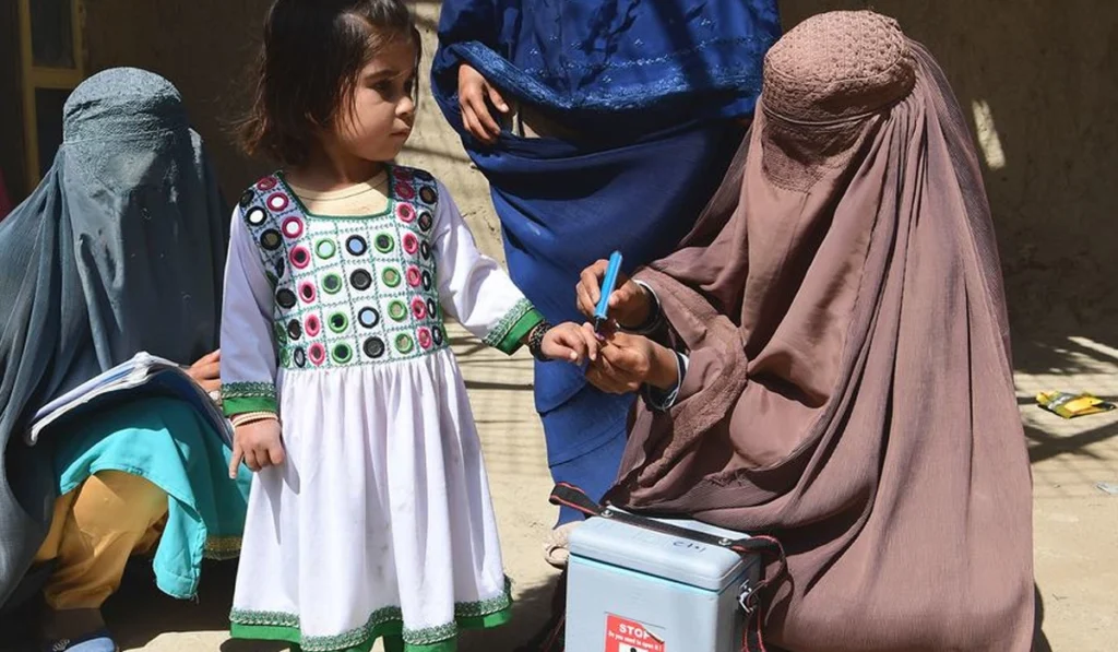 UNHCR halts aid in Afghanistan