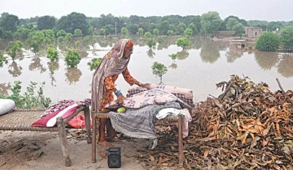 Punjab rivers recede