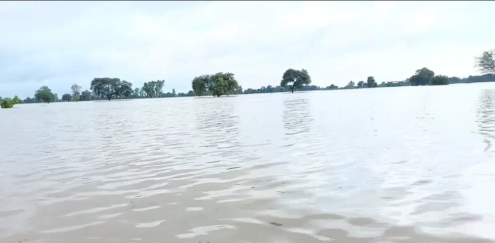 flood motorway