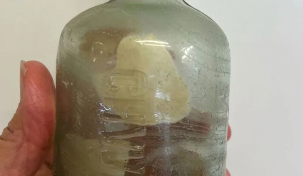 Letters of two WWI Australian soldiers found on beach