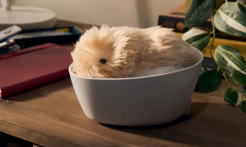 Casio unveils AI-powered ‘Moflin’ pet