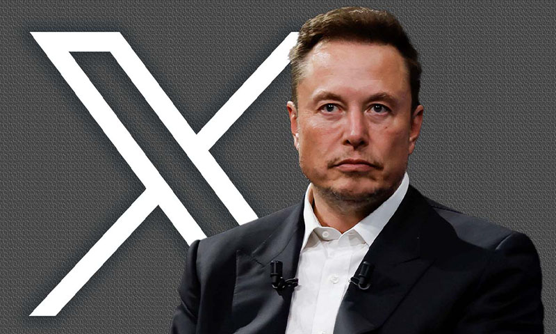 Elon Musk Twitter X glitch