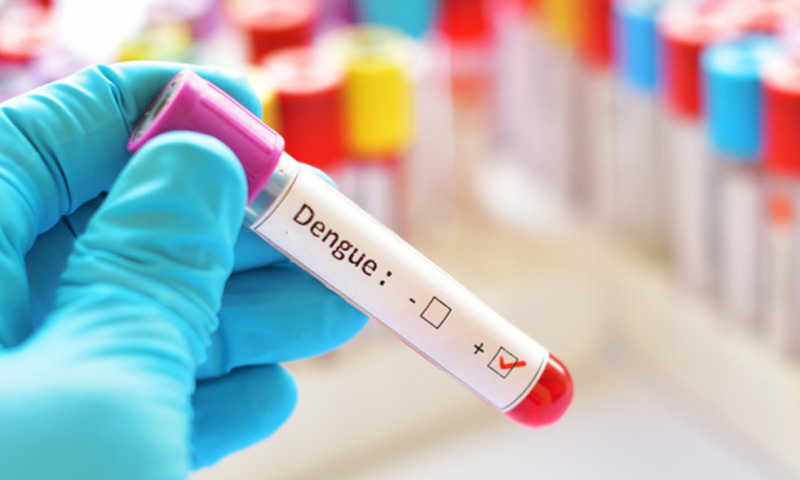 dengue cases