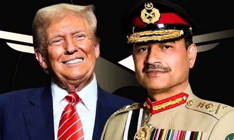 Bloomberg Field Marshal