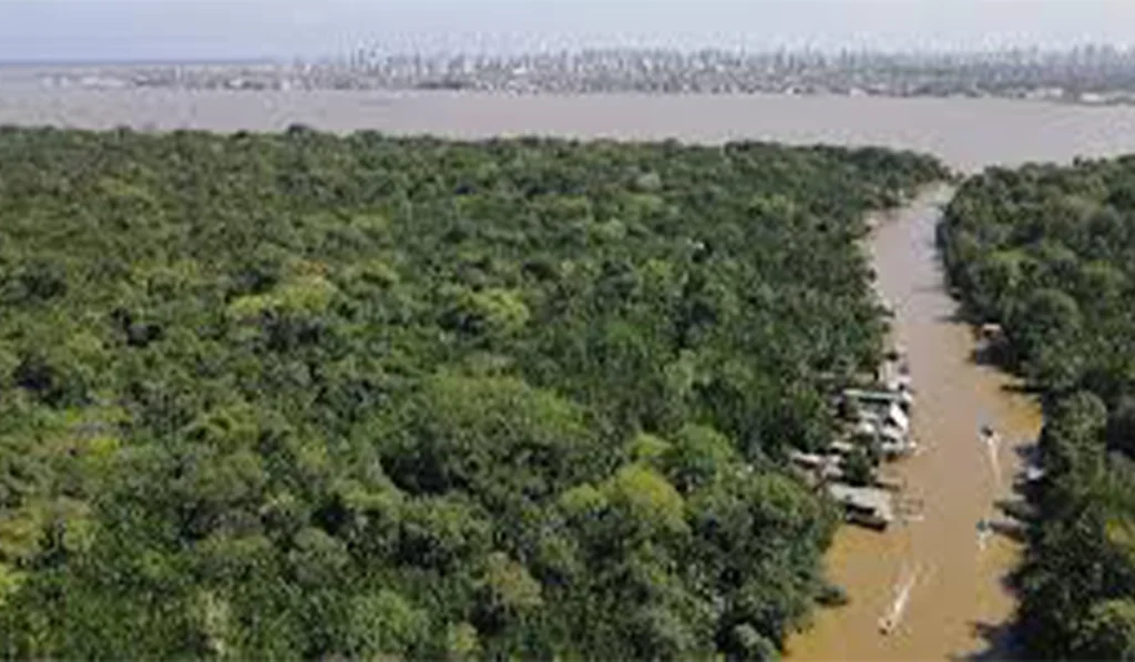 Life after climate change: Scientists starve trees of water