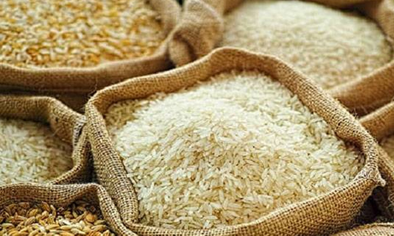 Pakistan rice