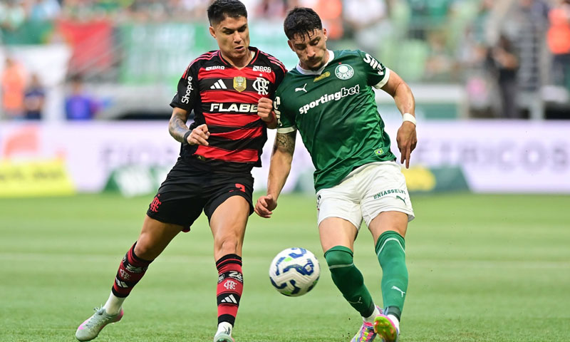 Flamengo and Palmeiras face off in Copa Libertadores final