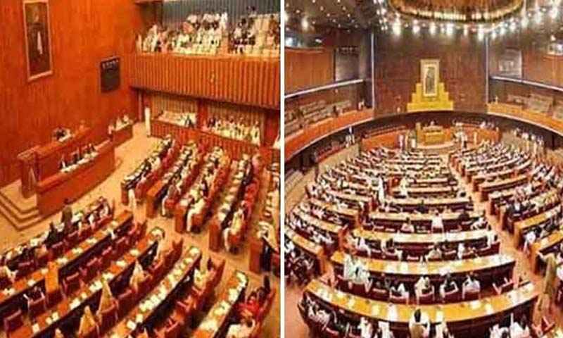 Parliament passes bill to protect women, children