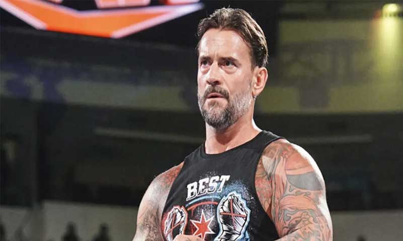 CM Punk WWE Austin Theory