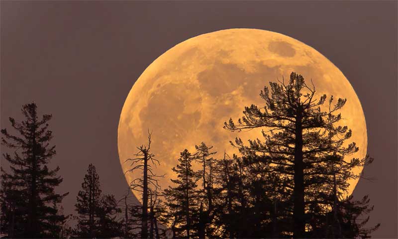 Supermoon December 2025