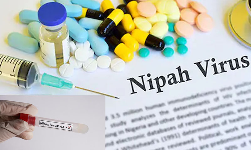 Nipah virus cases reported in India, health alert issued