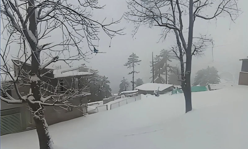 Rain and snow forecast in Khyber Pakhtunkhwa and Punjab