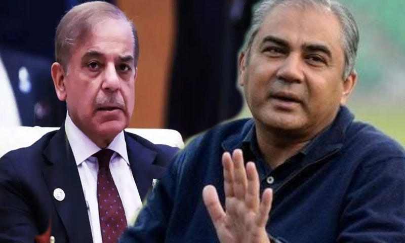 PAK VS AUS T20: PM, PCB chief praise Shaheens after 3–0 win over Australia