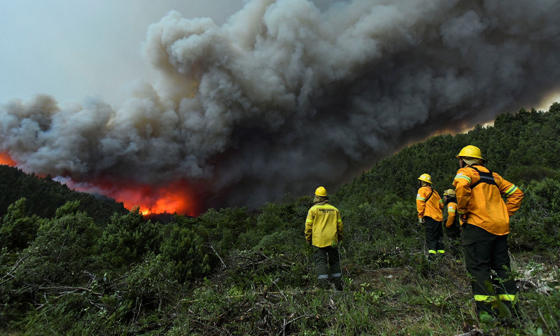 Argentina fires
