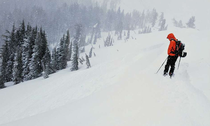 Nine skiers still missing after avalanche in California; six rescued