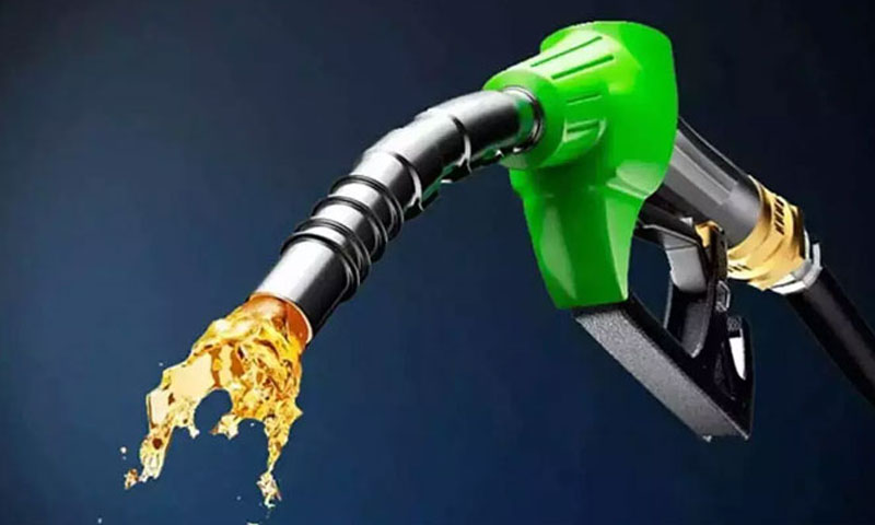 Summary proposes steep hike in petrol, diesel prices