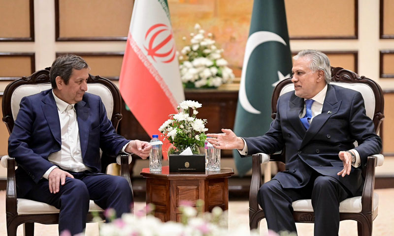 Iran central bank chief Hemmati meets Dar, emphasises economic cooperation