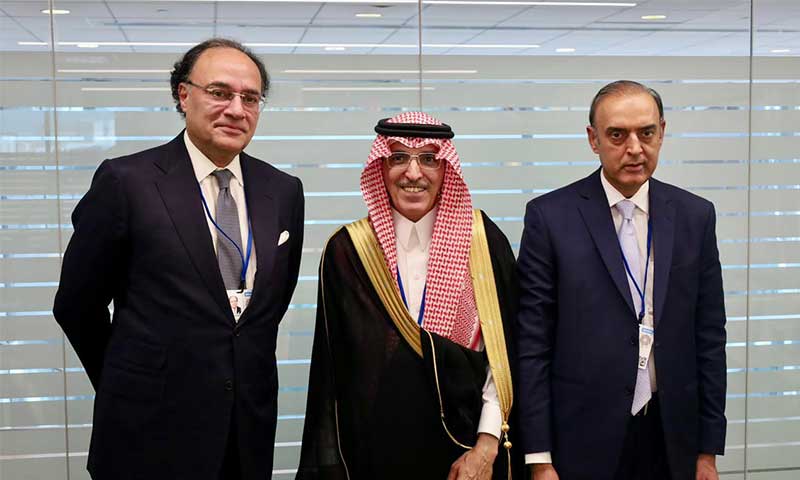 Saudi Aurangzeb Finance minister
