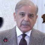 PM Shehbaz says efforts to ensure US-Iran ceasefire talks is Pakistan's diplomacy success