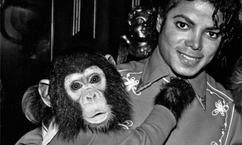 Michael Jackson Bubbles