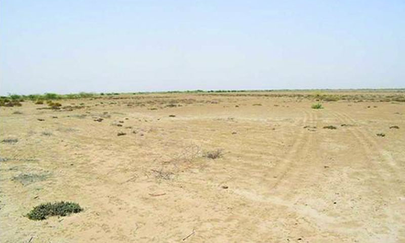 Punjab launches shrimp farming project to boost blue economy