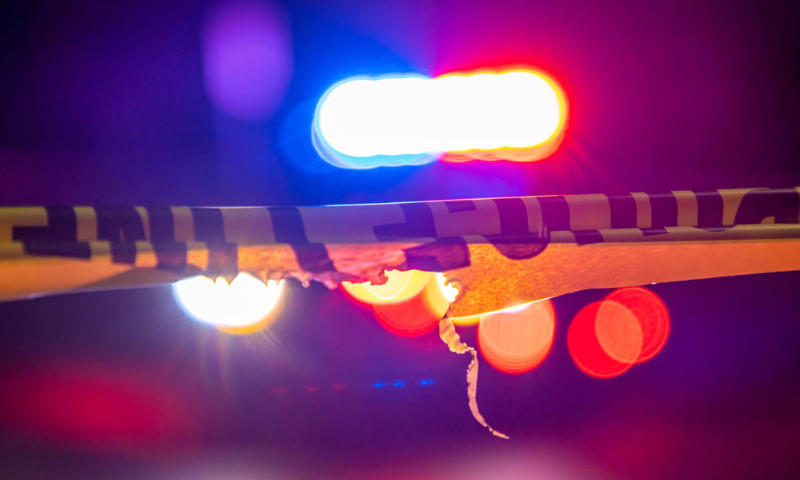 ‘Hunger Games’ actor charged after alleged gun attack