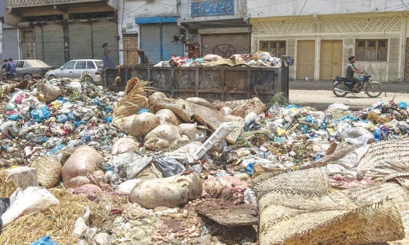 Punjab to penalise open dumping of animal remains with Rs50,000 fine