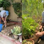Bohra community member named ambassador for Karachi cleanliness drive