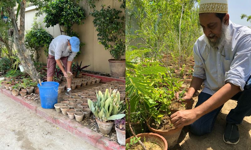 Bohra community member named ambassador for Karachi cleanliness drive