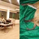 Chinese national arrested for hunting rare deer in Margalla Hills