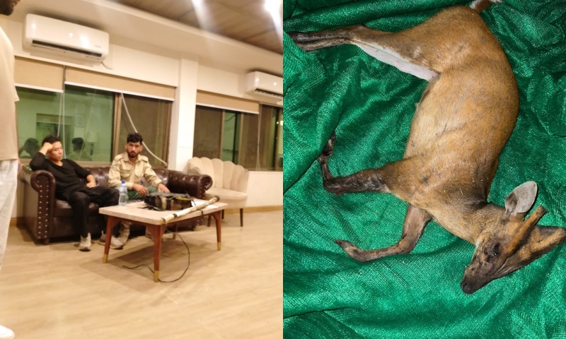 Chinese national arrested for hunting rare deer in Margalla Hills
