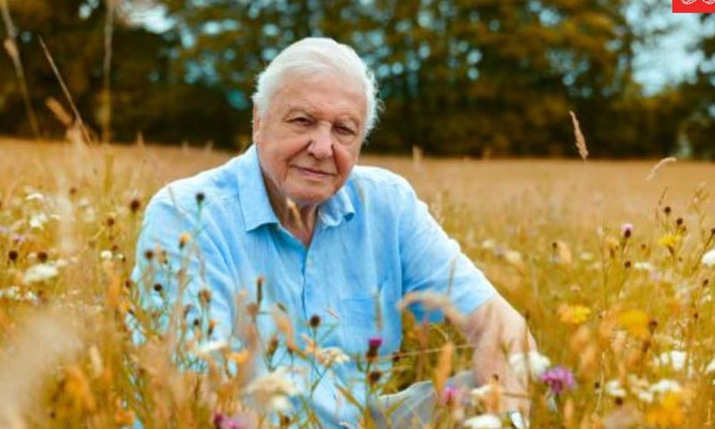 David Attenborough turns 100, overwhelmed by global tributes