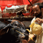 Peshawar Eidul Azha