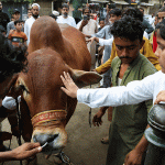 Eidul Azha Pakistan